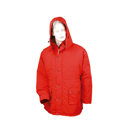 Winter Jacket